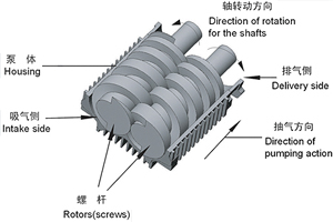干式螺杆真空泵工作原理