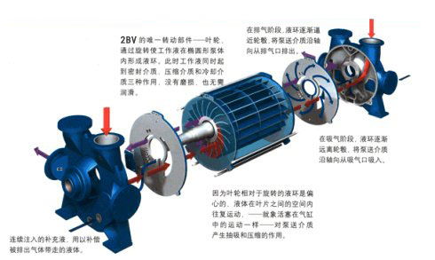 水环泵工作原理